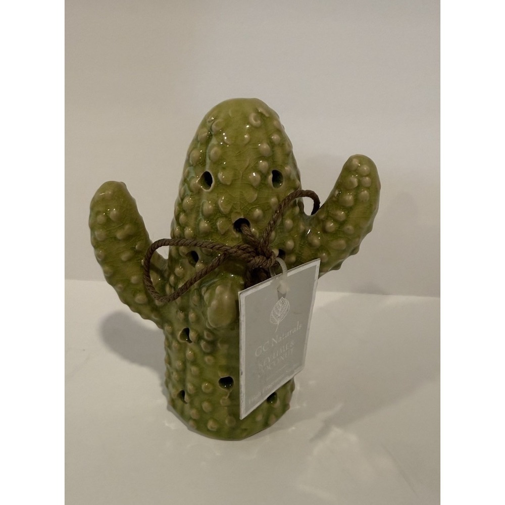 GC Naturals Ceramic Cactus Key Lime Coconut Fragranced Beads Sachet Holder New